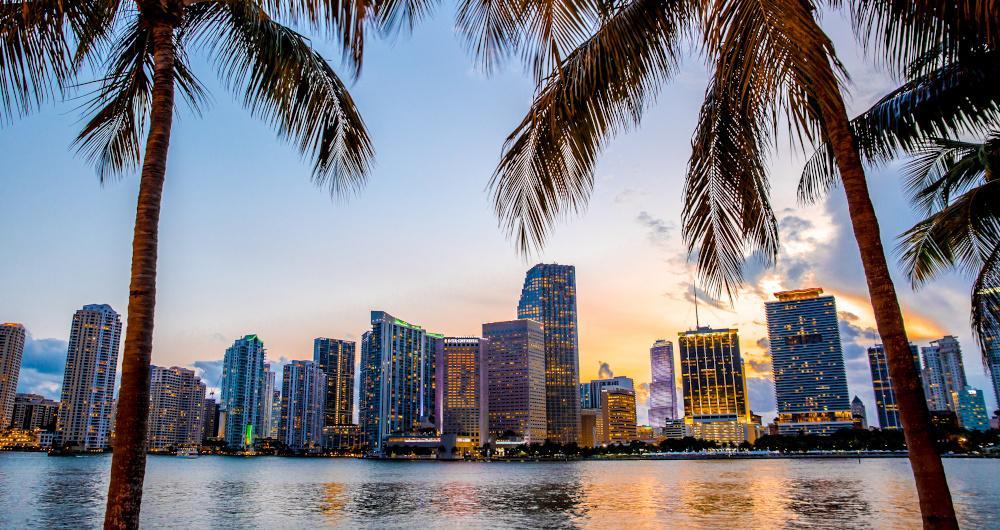 Miami: Color, Wildness, and Quiet Surprises