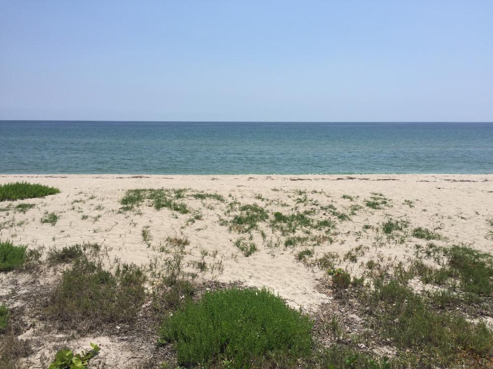 Spot wildlife at Hobe Sound National Wildlife Refuge