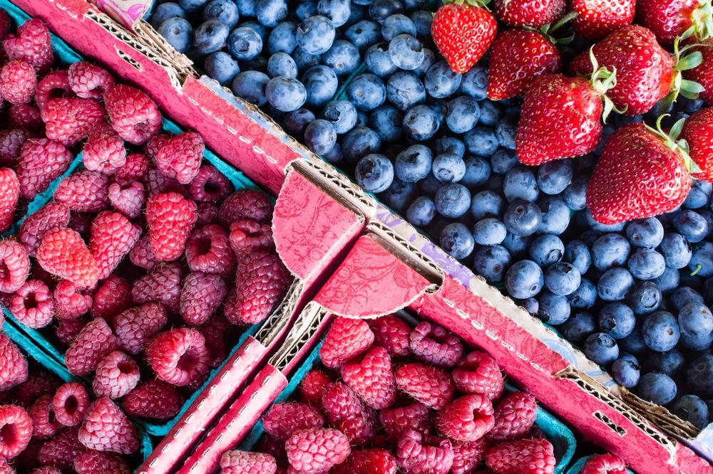 Browse Fresh Finds at the Downtown Fort Pierce Farmers Market