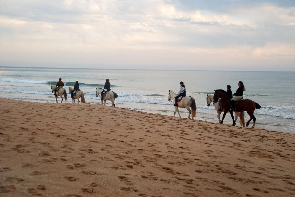 Ride horses by the ocean and enjoy a romantic, unforgettable coastal adventure.