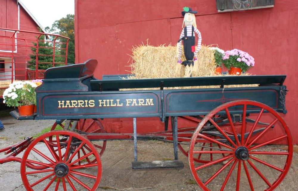 Enjoy fall farm activities at the Harris Hill Farm