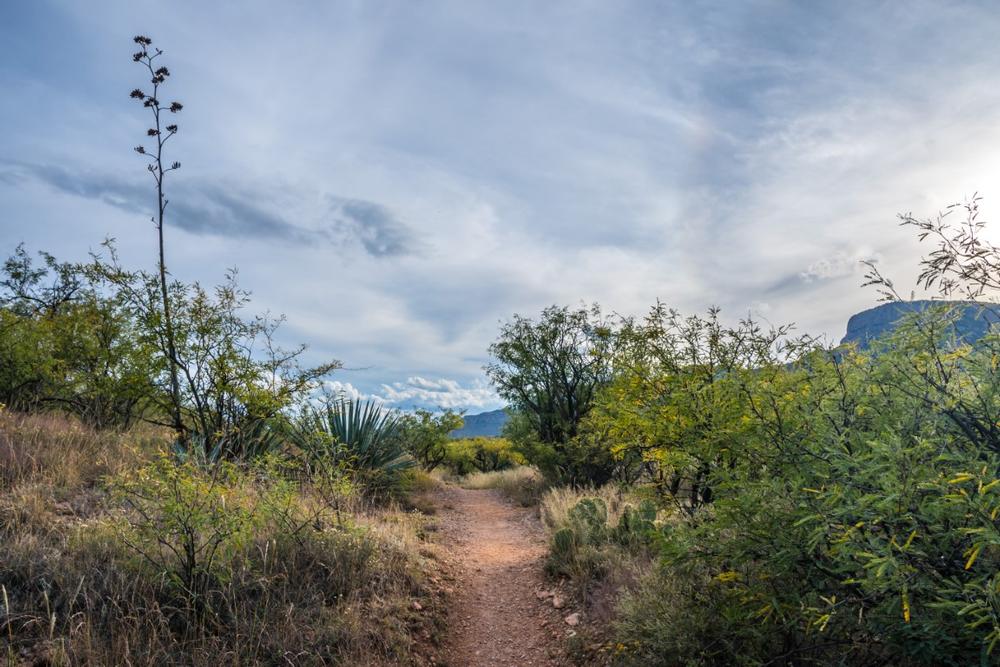 Explore Hidden Worlds at Kartchner Caverns State Park