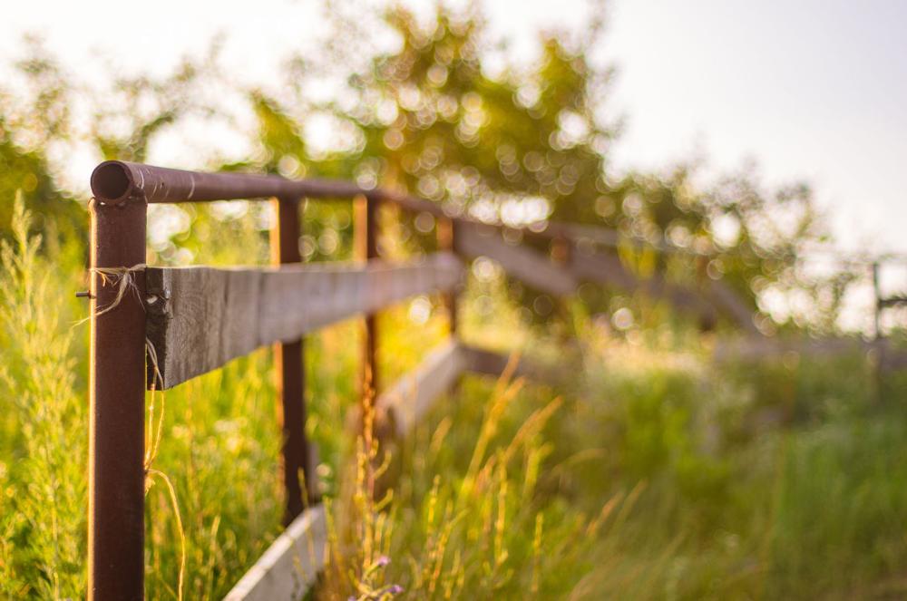 Pet animals and shop fresh produce on a fun, family-friendly farm day.