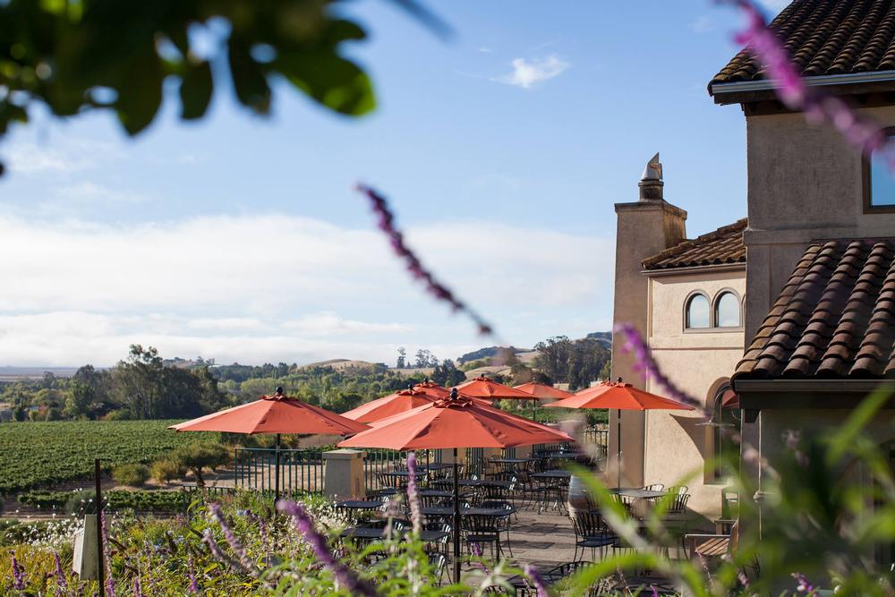 Go wine tasting at Gloria Ferrer Champagne Caves & Vineyard's