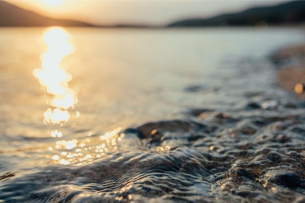 If Kayaking Adventures and Hidden Beaches Tempt You, Paddle to Cutts Island State Park