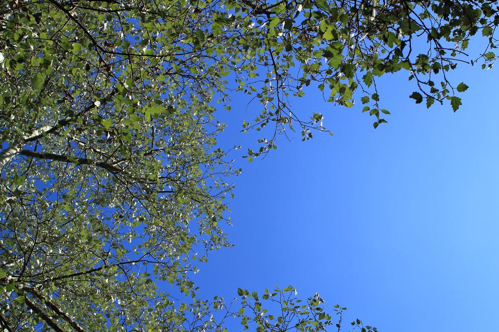 If You Crave Quiet Trails and Natural Beauty, Wander Henderson Heritage Preserve