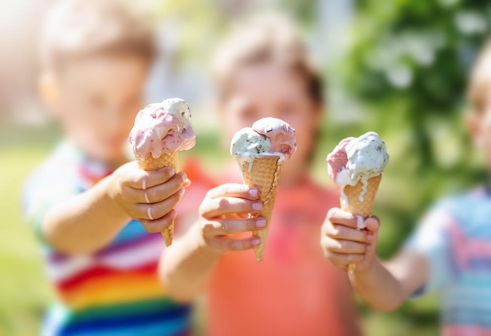 If You Dream of Magical Family Adventures, Make Memories at Disney World