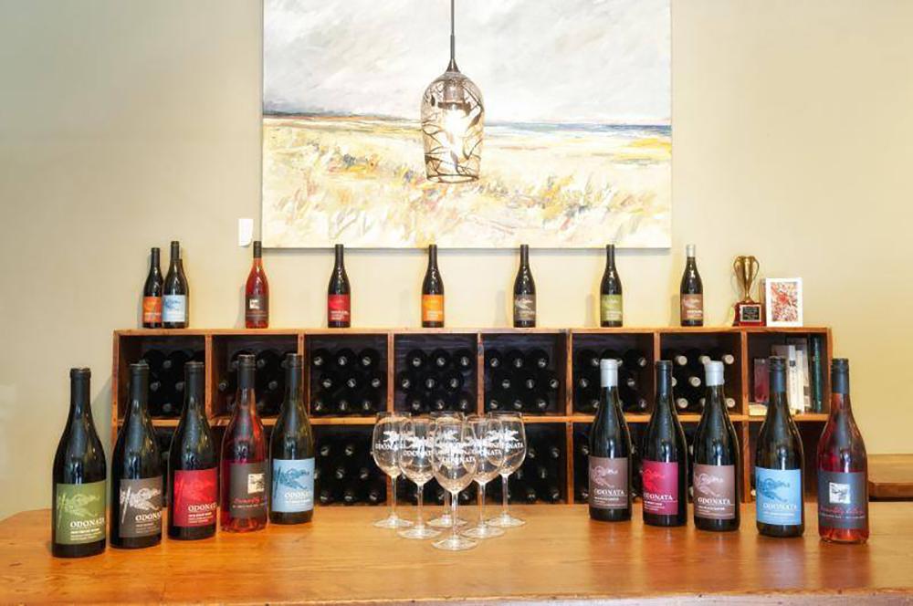 If You Love Boutique Vintages, Sip and Unwind at Odonata Wines South