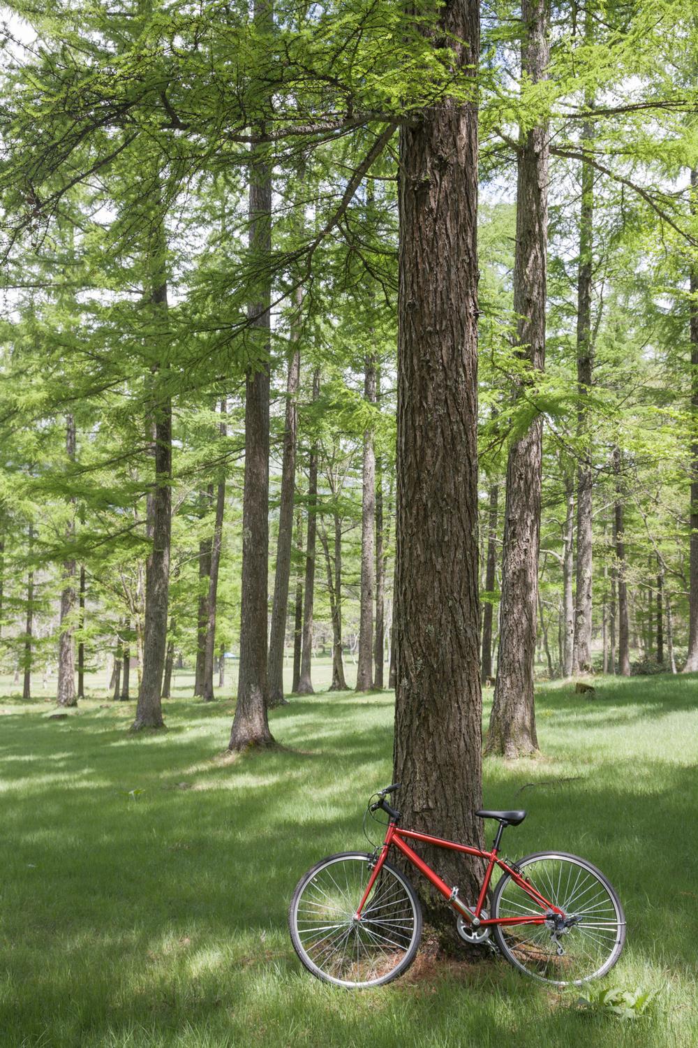 If You Love Scenic Rides, Bike the Warren County Bikeway