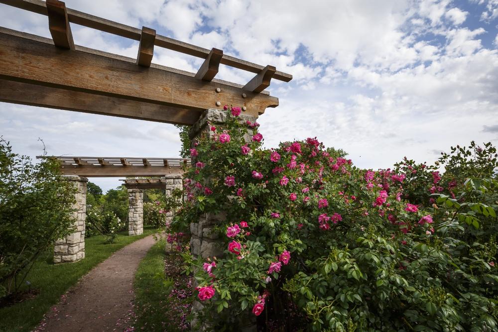 If You’re Looking for Relaxed Charm, Stroll Through Jacob L. Loose Park