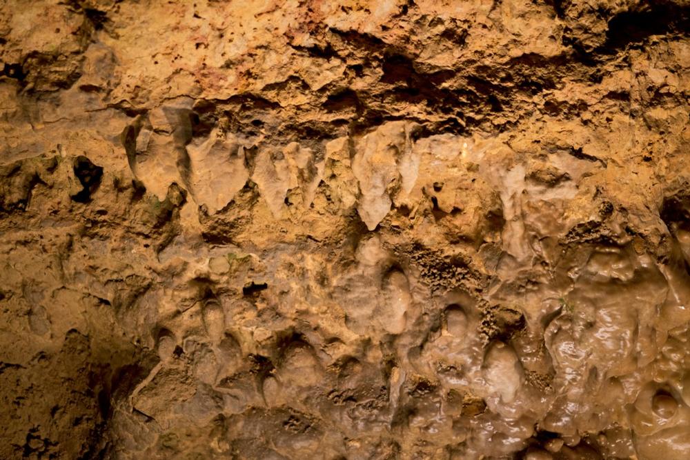 If You’re Up for Underground Wonder, Tour the Depths of Cumberland Caverns
