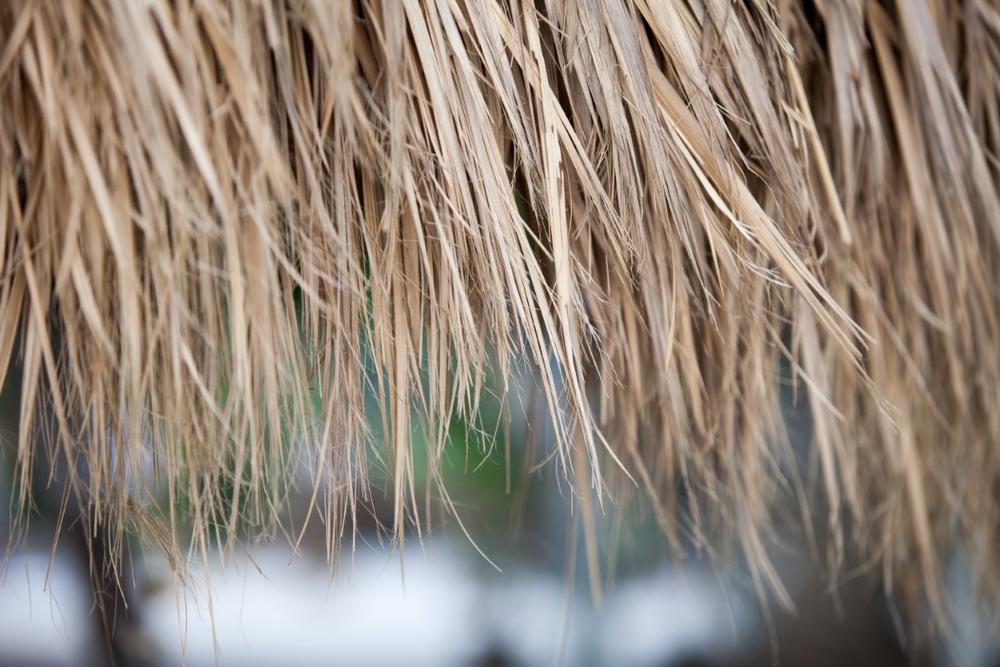Learn About Native American History at the Cherokee Homestead Exhibit