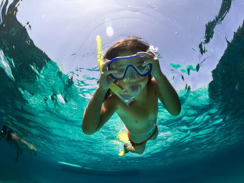 Make Waves with A Family Fun Boat Tour Company