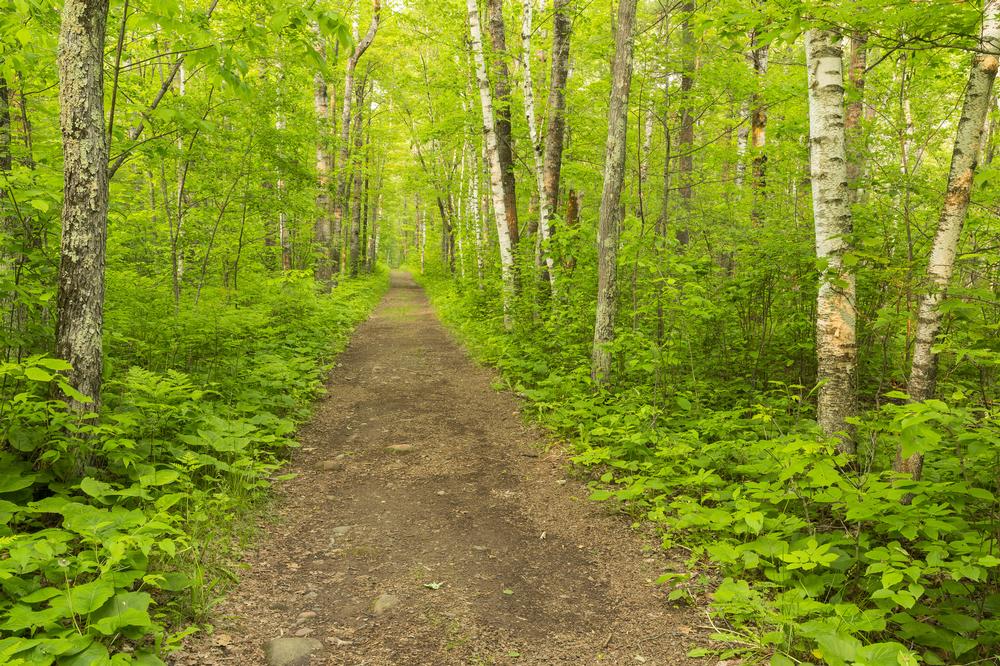 Hike forest trails and admire wildlife on an affordable outdoor escape.