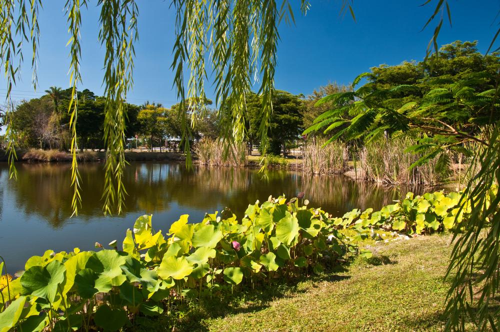 Admire tropical gardens, enjoy peaceful strolls through diverse plant collections.