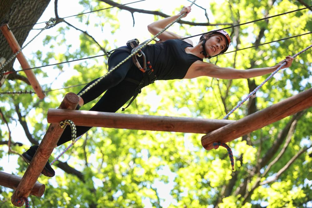 Play at the Lost Forest Adventure Park