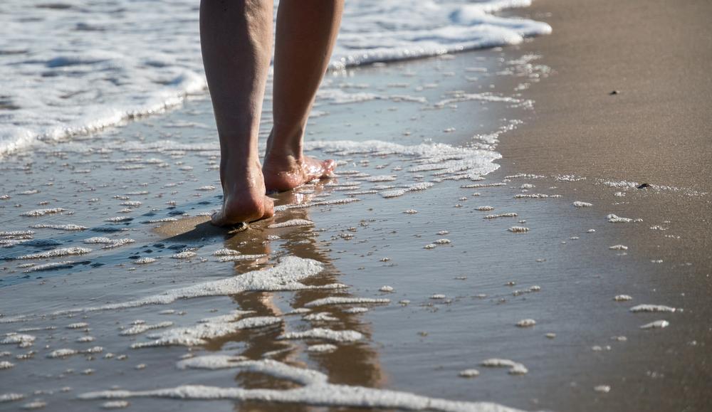 Reflect at Bruce's Beach, a Site of Rich Cultural History