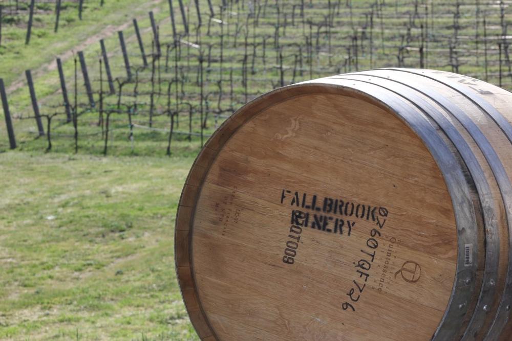 Relax with a Glass at Fallbrook Winery