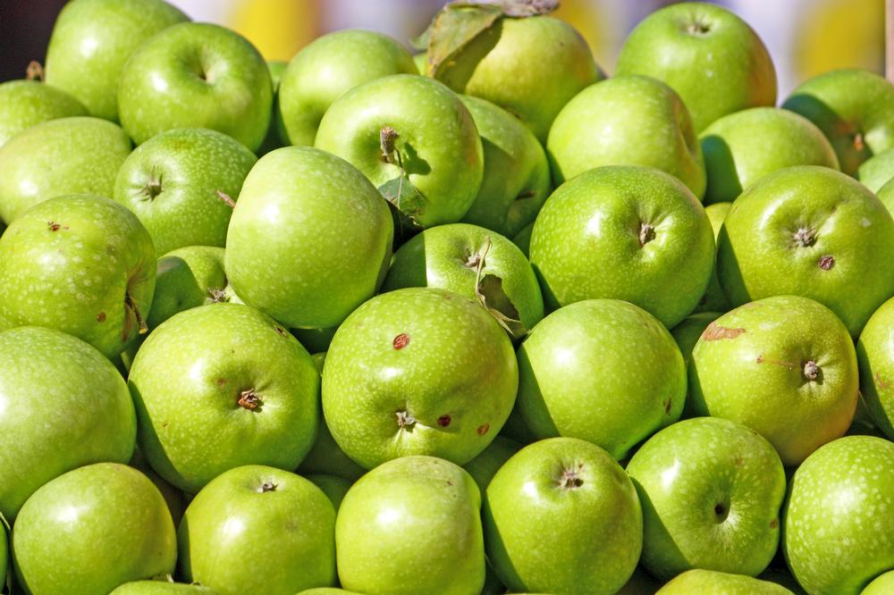 Shop Fresh Produce and Local Treats at the Ukiah Farmers’ Market