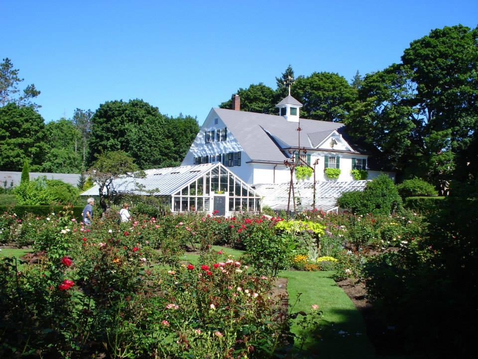 Stroll through blooming gardens, admire vibrant flowers and serene surroundings.