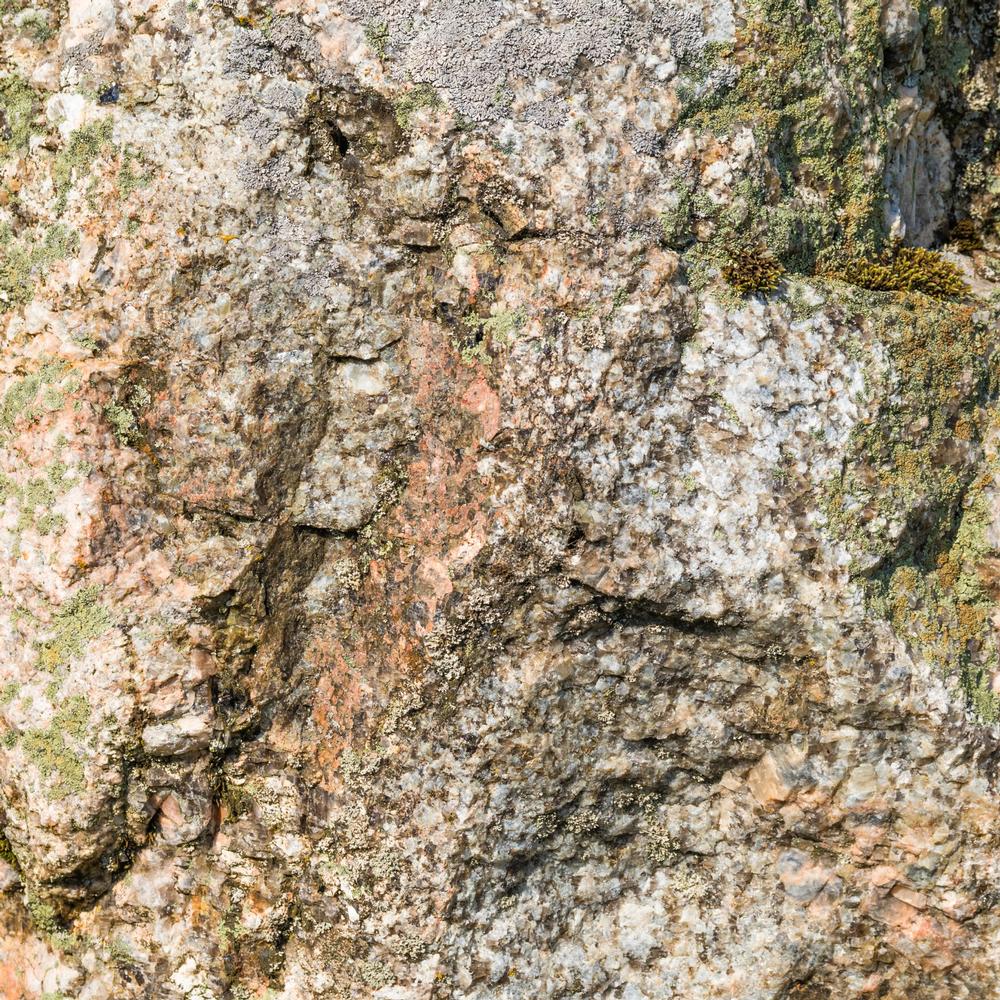 Step Into Prehistoric Times at Garden Park Fossil Area