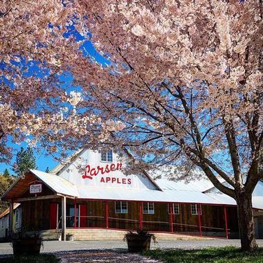 Stop by the bakery at the Larsen Apple Ranch and Barn | Things to Do in Placerville, California