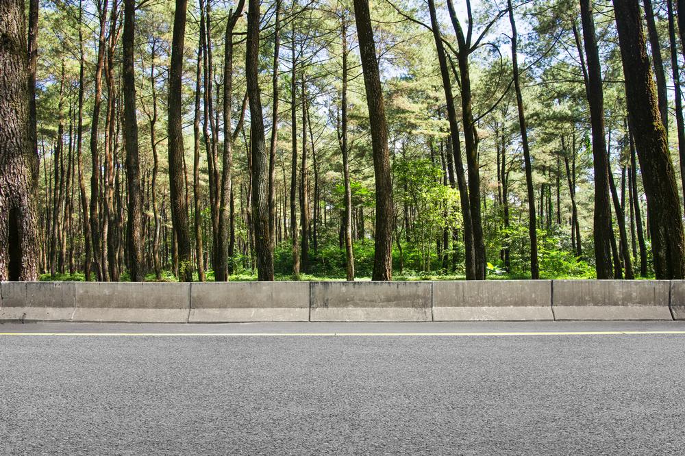 Stretch Your Legs on the Scenic Vestal Rail Trail