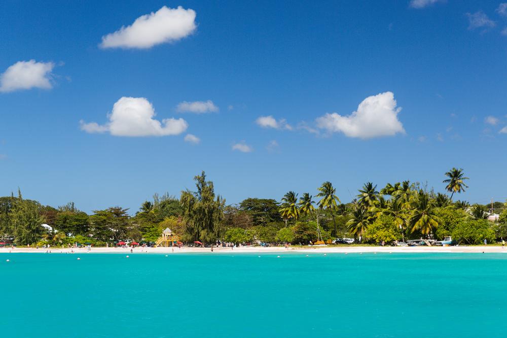 Enjoy snorkeling in Carlisle Bay