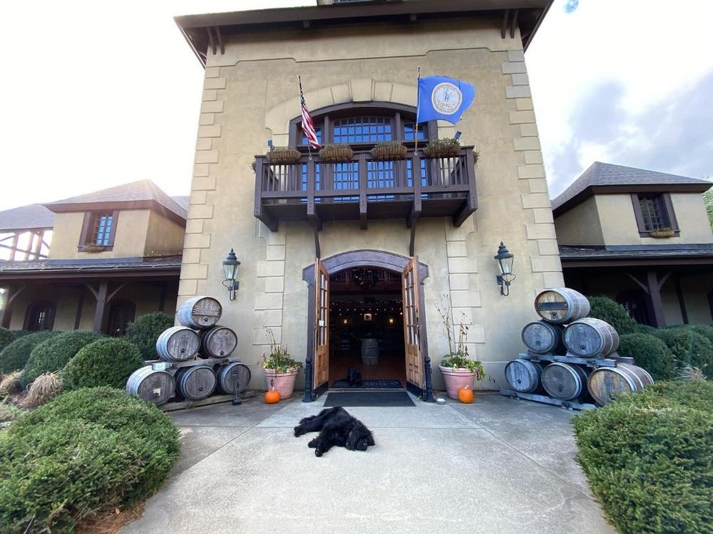 Taste Wine with a View at Chateau Morrisette Winery on the Blue Ridge Parkway