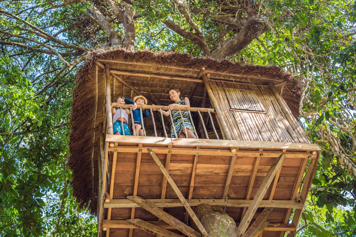 Tree house deck
