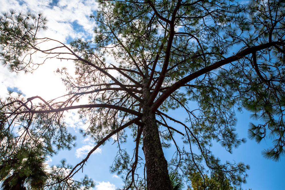 Walk along scenic paths and explore nature exhibits on an easy outdoor outing.