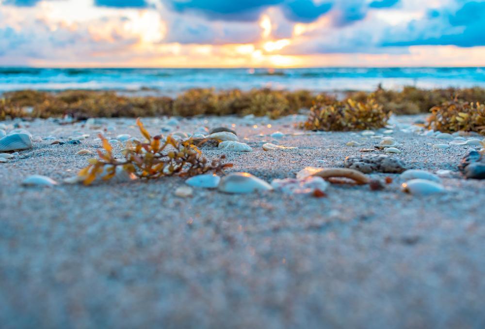 White Point