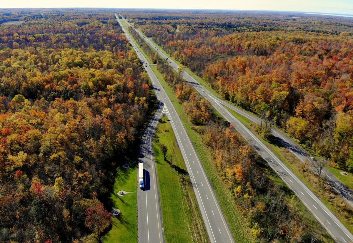 Fall foliage in Watertown NY