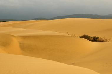 Medanos de Coro National Park