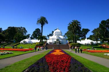 San Francisco Botanical Garden