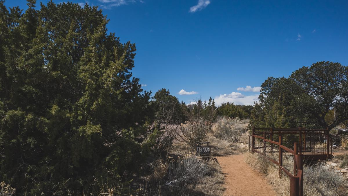 Strolling through the Botanical Garden of Santa Fe