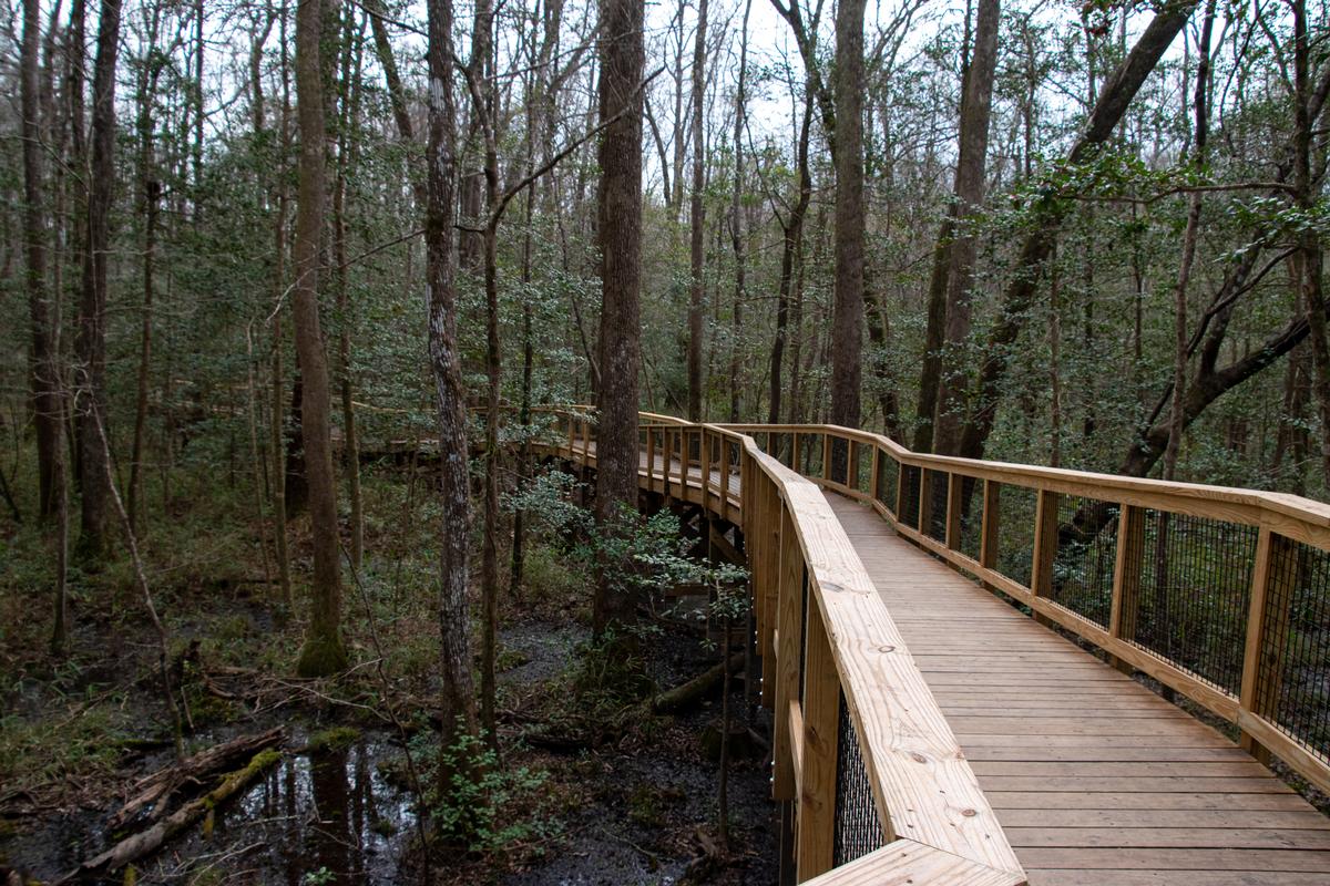 Congaree National Park 