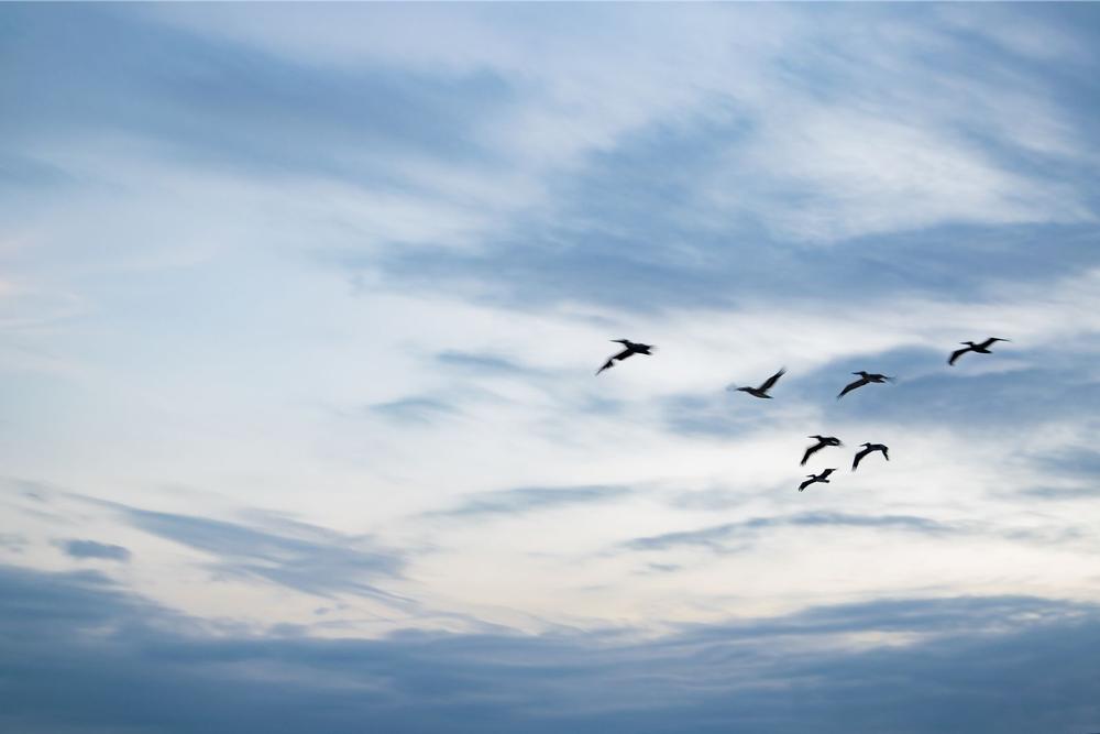 Enjoy panoramic views at Fernandina Plaza Historic State Park