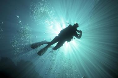 Jakarta Ocean Dive