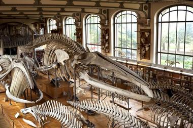 Museum National d'Histoire Naturelle (French National Museum of Natural History)