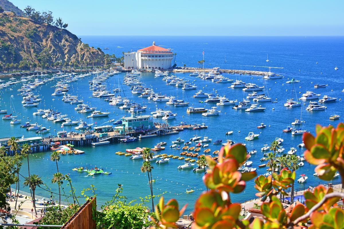 Avalon Bay Harbor