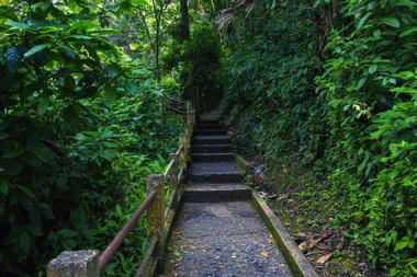 Carabali Rainforest Park (Luquillo) | Things to Do in Puerto Rico