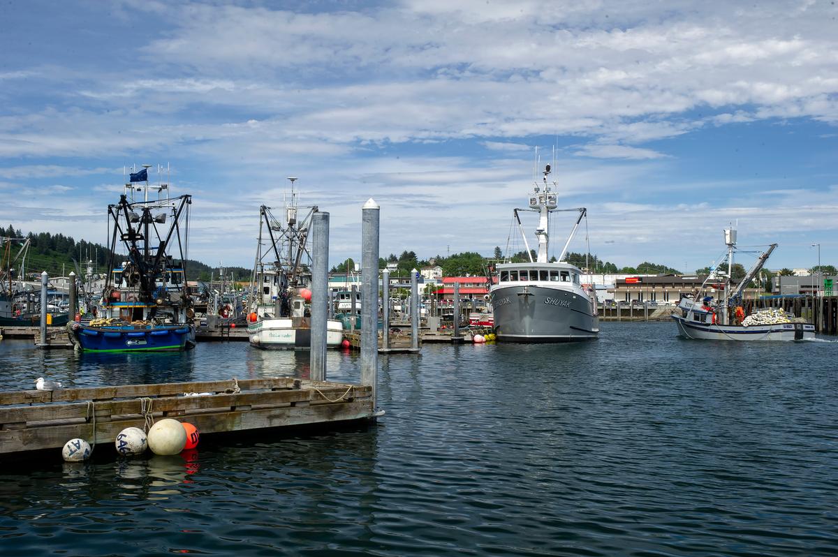I admired the fishing boats in the harbor in Kodiak, Alaska