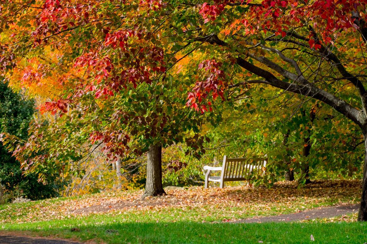 Explore themed gardens, wildflower preserves, and scenic trails that showcase the ecological richness of the Finger Lakes.
