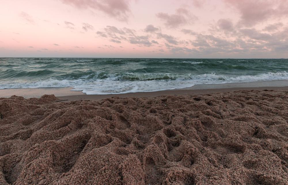 See the attractions near North Beach