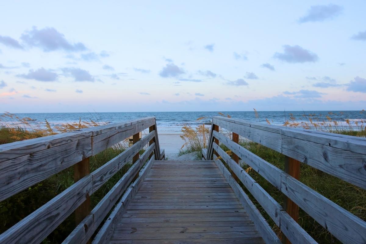 Huntington Beach State Park, Myrtle Beach area
