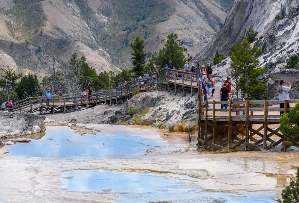 Experience Yellowstone Tours - Cody, Wyoming