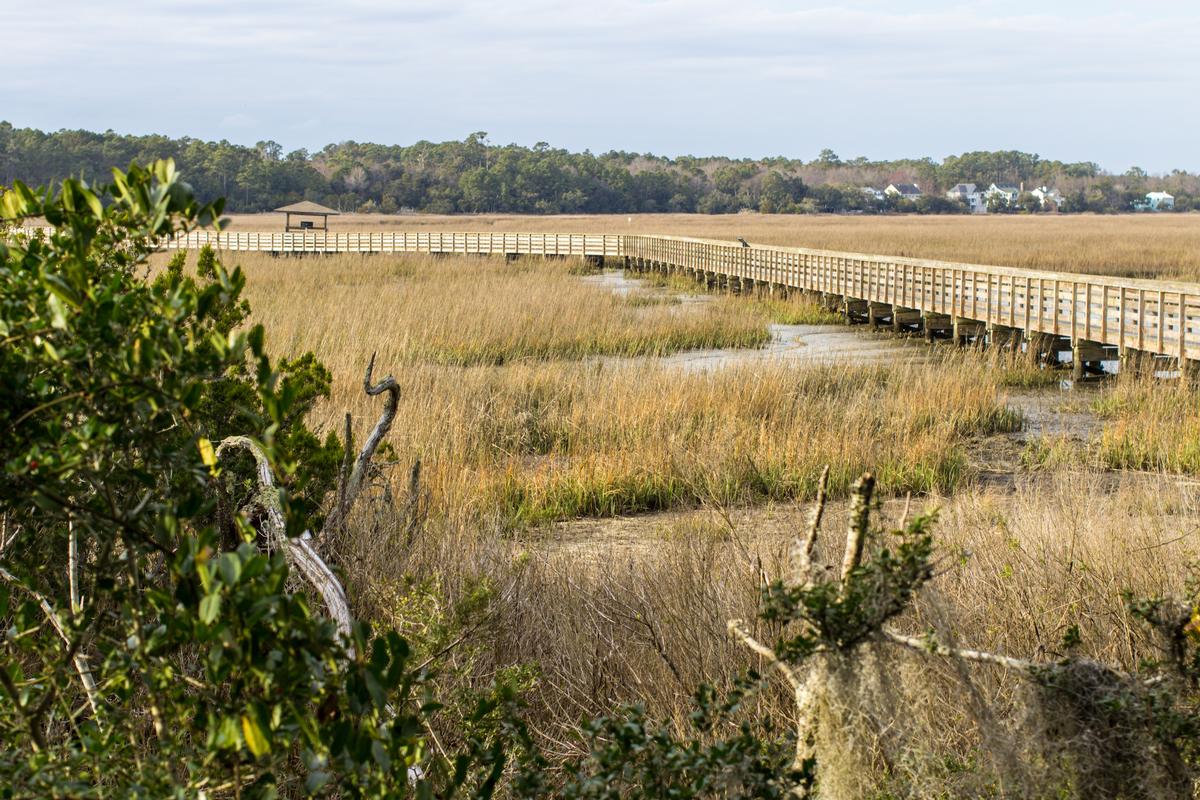 The boardwalk at Huntington Beach State Park