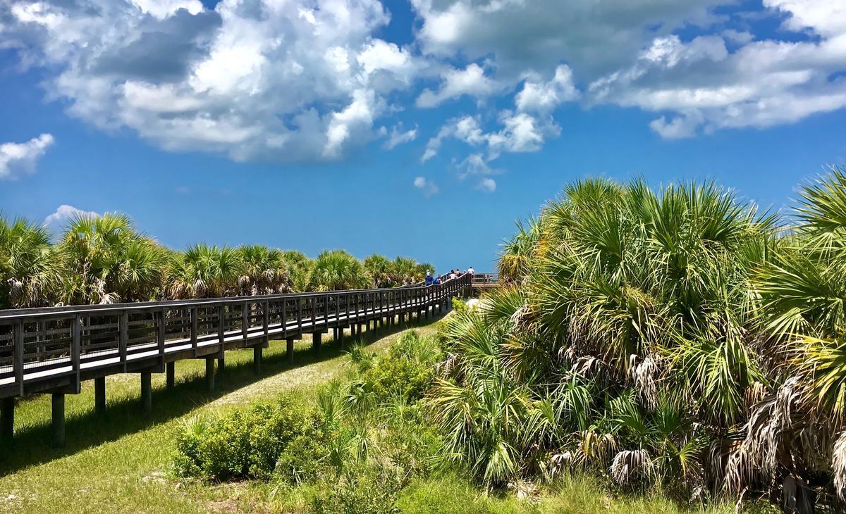 Kayak mangroves and walk quiet shores on a peaceful spring trip.