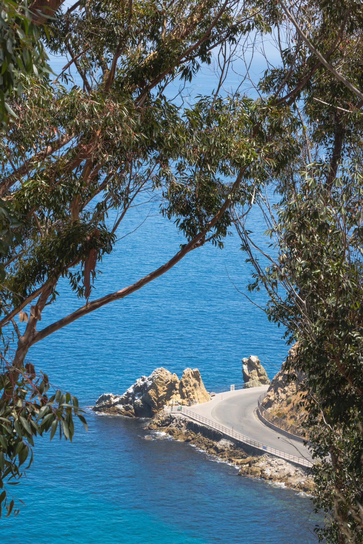 Road next to Lovers Cove